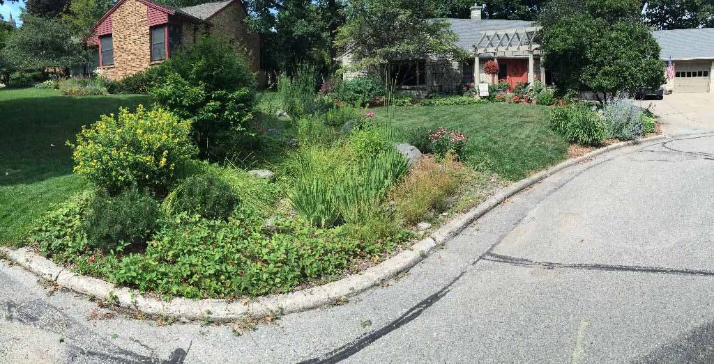 Rain_Garden__Dry_Riverbed_Year_3-137-1500-800-80b
